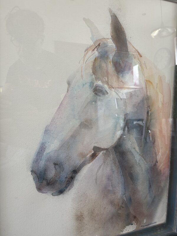 White Horse Head - Image 3