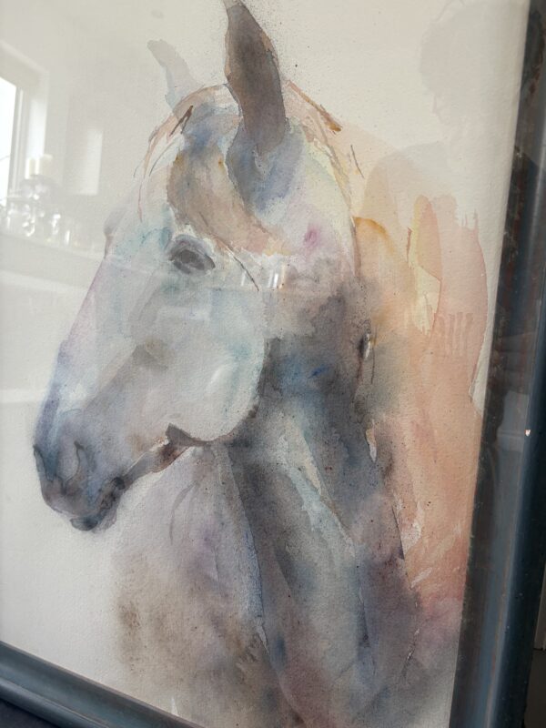 White Horse Head - Image 4