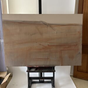 Preliminary seascape